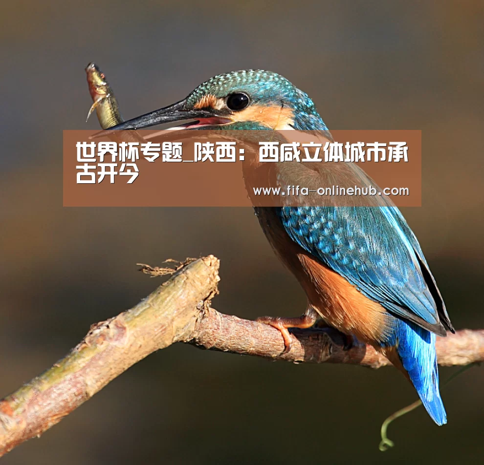 世界杯专题_陕西:西咸立体城市承古开今(图2) 比赛集锦
