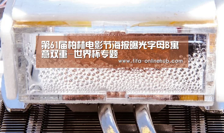 第61届柏林电影节海报曝光字母B寓意双重-世界杯专题(图1) 球队名单