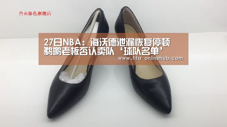 27日NBA:海沃德泄漏恢复停顿 鹈鹕老板否认卖队‘球队名单’(图2) 球队名单